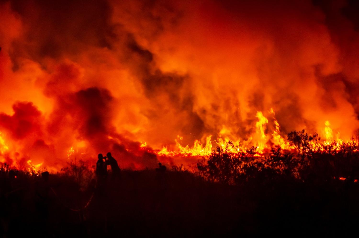 Firefighters try to extinguish a peatland fire in Ogan Ilir, South Sumatra, 12 September 2023 (Al Zulkifli/AFP via Getty Images)